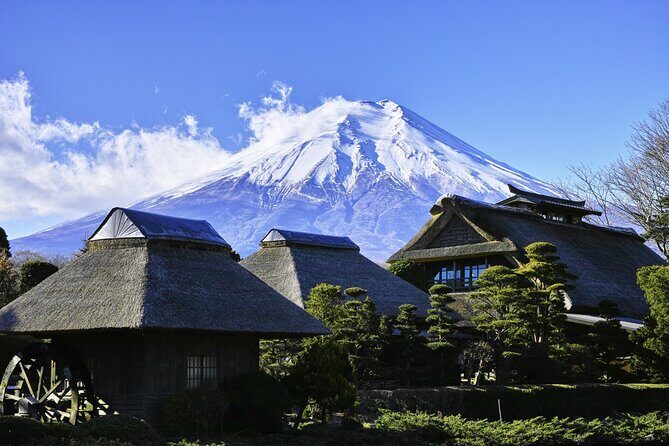 Private Car for Mt. Fuji 5th Station and more (customizable) - What Travelers Say