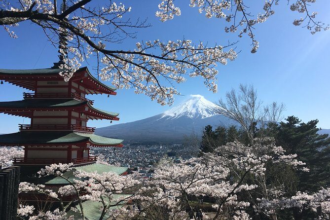 Private Car Mt Fuji and Gotemba Outlet in One Day from Tokyo - FAQs