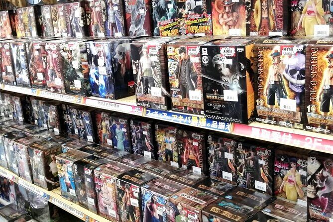 Private Car Tour for Anime Manga Game and Otaku Tour in Tokyo - Who Will Love This Tour?