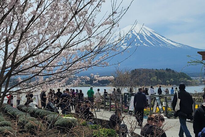 Private Car tour to Mt. Fuji/Hakone with English Driver/Guide - The Value of this Experience