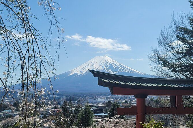 Private Car tour to Mt. Fuji/Hakone with English Driver/Guide - Final Thoughts