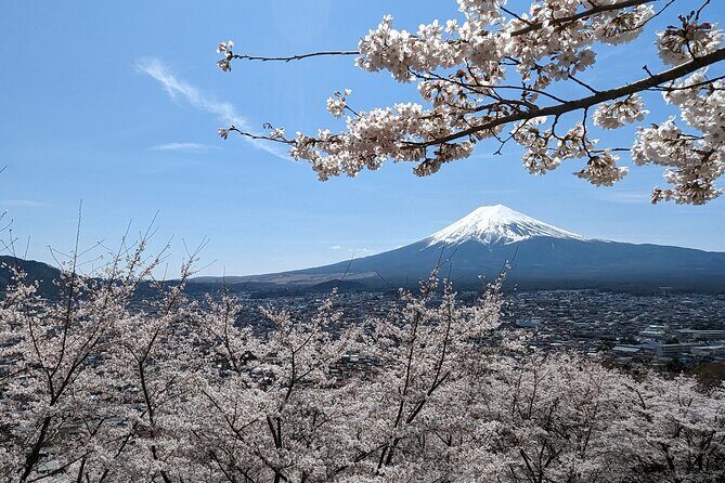 Private Car Tour to Mt. Fuji Lake Kawaguchiko or Hakone - Experiencing Japan’s Iconic Mt. Fuji with a Private Car Tour