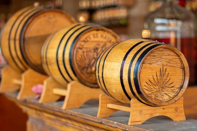 private car tour with driver - Key Points