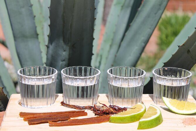 private car tour with driver - The Sum Up