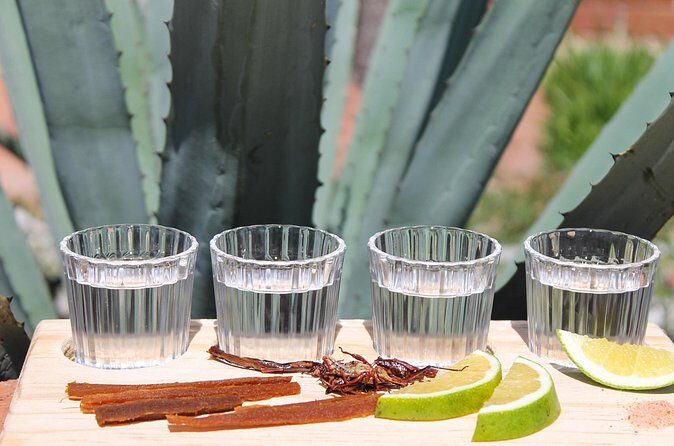 private car tour with driver - FAQ