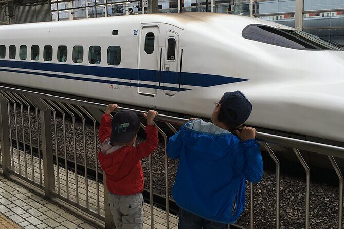 Private Car transfer from Narita airport to Tokyo - Who Would Love This Service?