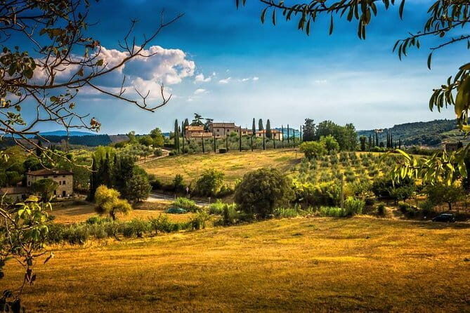 Private Carmignano Tour: The First Cabernet Sauvignon in Tuscany - Key Points