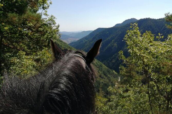 Private Cascades Waterfall Horseback Riding Tour from Smolyan - An In-Depth Look at the Tour