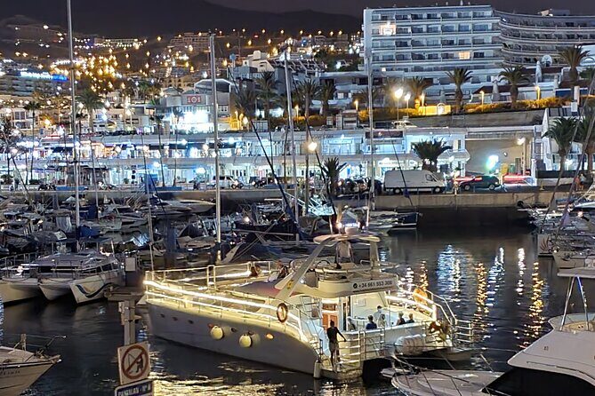 Private Catamaran Charter with Transfer, Buffet and Snorkeling - Marine Wildlife Encounters: What You Might See