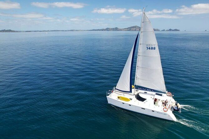 Private Catamaran Full Day Sailing Charter | Bay Of Islands - Key Points
