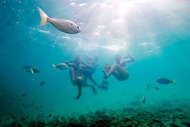 Private Catamaran: Snorkel, Swim and Dolphin Watching - Key Points