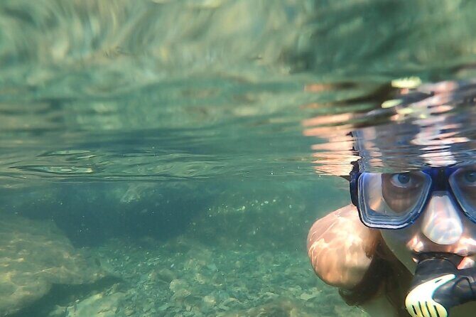 Private Catamaran: Snorkel, Swim and Dolphin Watching - Detailed Review of the Catamaran Experience