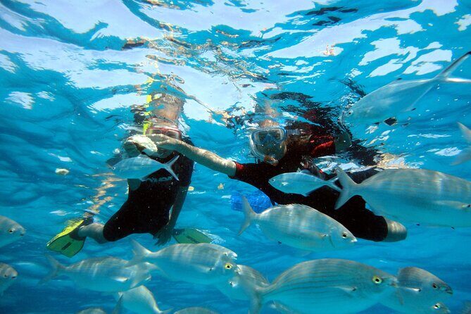 Private Catamaran trips to Lobos Island in Lagoon 400 - Who Should Book This Tour?