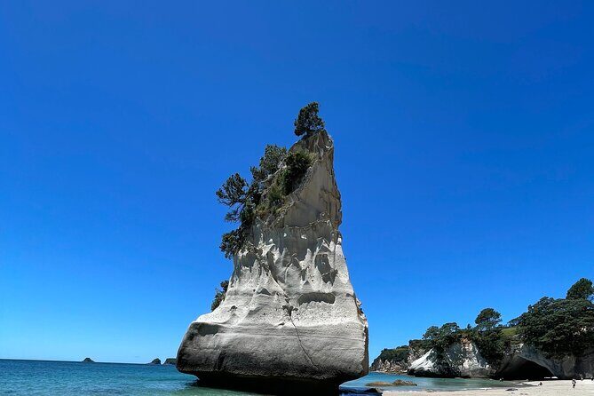 [PRIVATE] Cathedral Cove and Hot Water Beach - Key Points