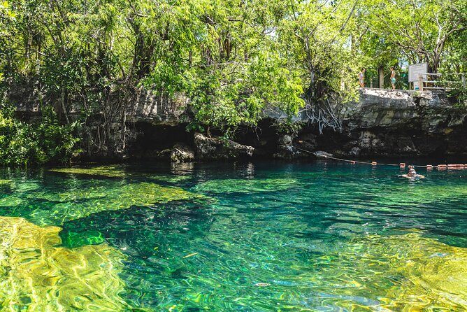 Private Cave Cenote, Open Cenote and Lunch Tour - Final Recommendation