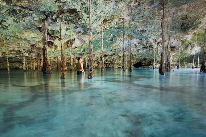 Private Cenote Experience, swim in the heart of the Mayan Jungle - Key Points
