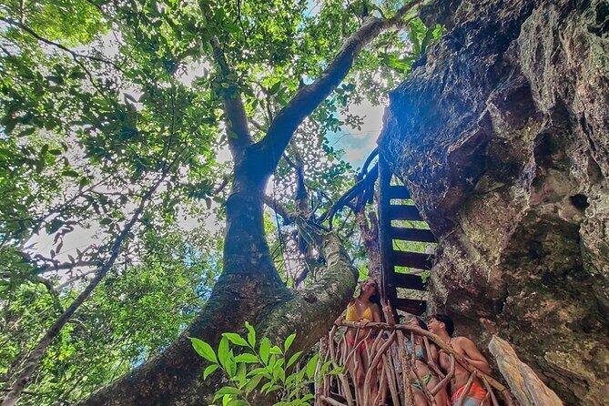 Private Cenote Experience, swim in the heart of the Mayan Jungle - The Sum Up