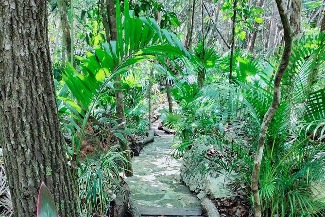 Private Cenote Experience, swim in the heart of the Mayan Jungle - FAQ