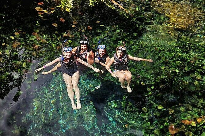 Private Cenote Snorkeling Tour  Tulums Hidden Gems - Why This Tour Works Well