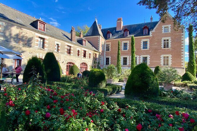 Private Chambord, Chenonceau, Da Vinci Clos Lucé Trip from Paris - Why This Tour Offers Great Value