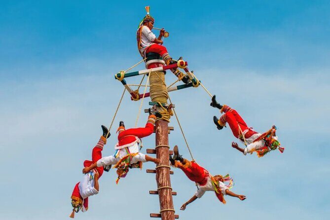 Private Chapultepec Park by Bike Guided Tour - Feedback from Past Participants