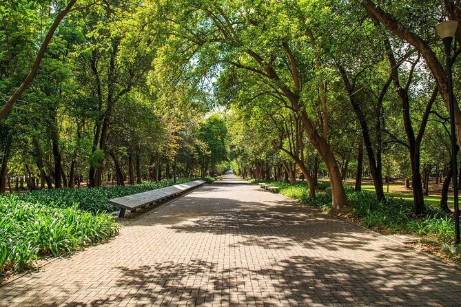 Private Chapultepec Park by Bike Guided Tour - The Sum Up