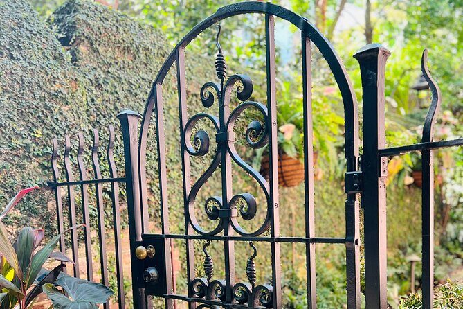 Private Charleston Hidden Alleys and Pathways Walking Tour - Who Will Love This Tour?