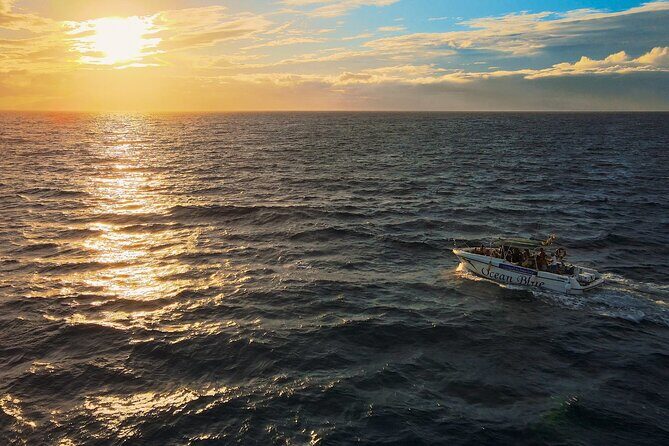 Private Charter 2 Hours Whale Watching Puerto Colon Adeje - The Experience in Detail