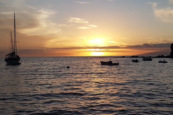 Private Charter 2 Hours Whale Watching Puerto Colon Adeje - FAQ