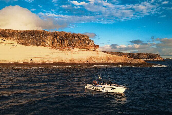 private charter 3 Hours Whale Encounter puerto colon adeje - Final Words