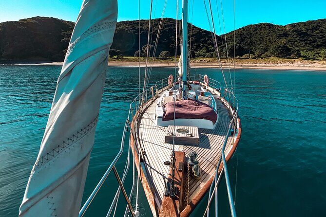 Private Charter Bay of Islands - An In-Depth Look at the Private Yacht Experience