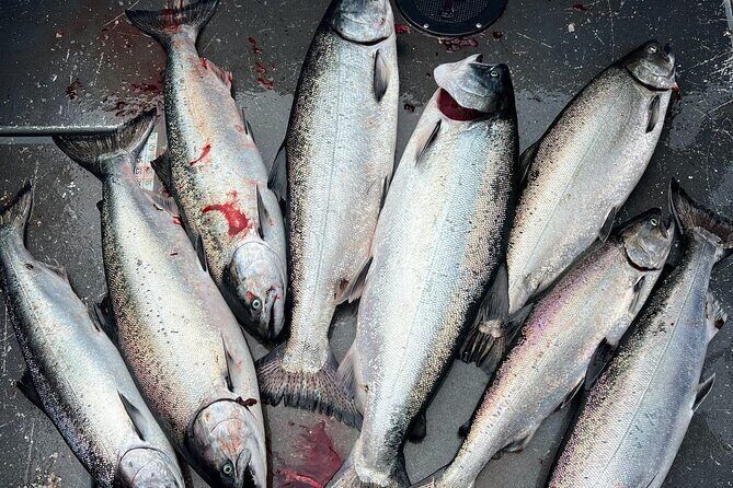 Private Charter Fishing - Full Port Time for Cruise Ship Guests - FAQs