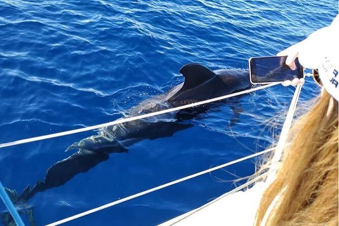 Private Charter in Tenerife south max 7 people - Final Thoughts