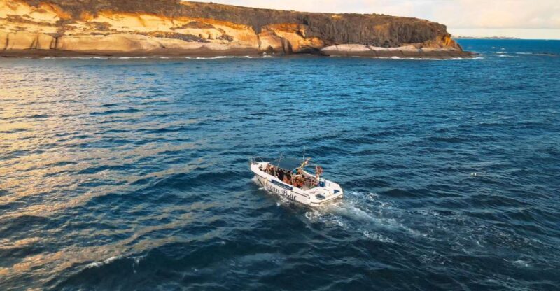 Private Charter Private Charter to see the whales - 2 Hours - Who Will Love This Tour?