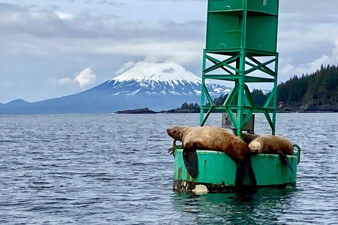 Private Charter Scenic Wildlife Excursion for Cruise Passengers - Analyzing the Experience: What Makes This Tour Stand Out