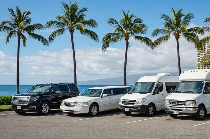 Private Charter Tour on Oahu - What to Expect on Your Private Oahu Tour