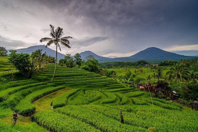 Private Chartered Car to Bali Temples With Besakih Temple - Who Should Book This Tour?