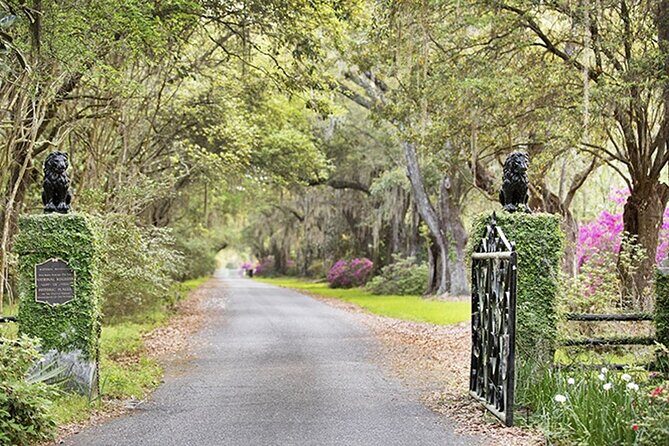 Private Chauffeur & Admission to Middleton & Magnolia Plantation + Box Lunch - What’s Included and What’s Not
