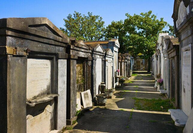 Private Chauffeured and Historian Guided City Tour of New Orleans - Introduction