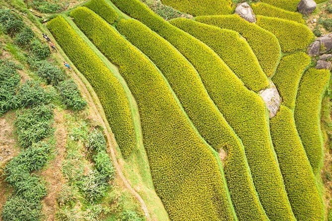 Private Chengdu Airport (CTU) Pickup to Hotel or Hotel Seeoff to Airport - Who Should Consider This Service?