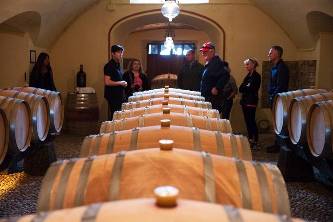 Private Chianti and SuperTuscan Tour 2 wineries with Light Lunch from Livorno - A Deep Dive Into the Experience