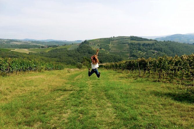 Private Chianti and SuperTuscan Tour 2 wineries with Light Lunch from Livorno - Practical Considerations