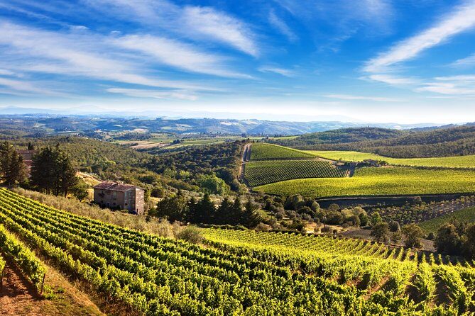 Private Chianti Classico Tour with wine and food tasting in a Historic Estate - The Itinerary in Detail