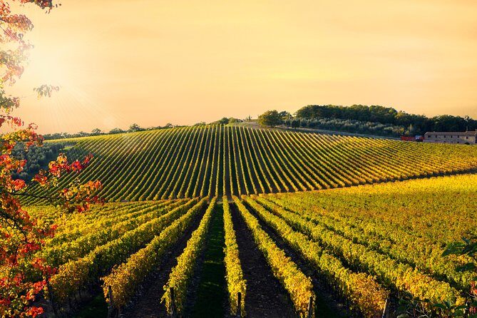 Private Chianti Classico Tour with wine and food tasting in a Historic Estate - Final Thoughts: Is It Worth It?