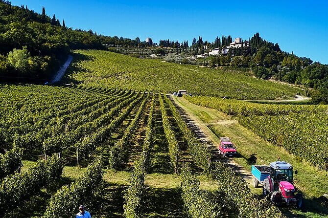 Private Chianti Tour and Wine Tasting - What to Expect from the Overall Experience