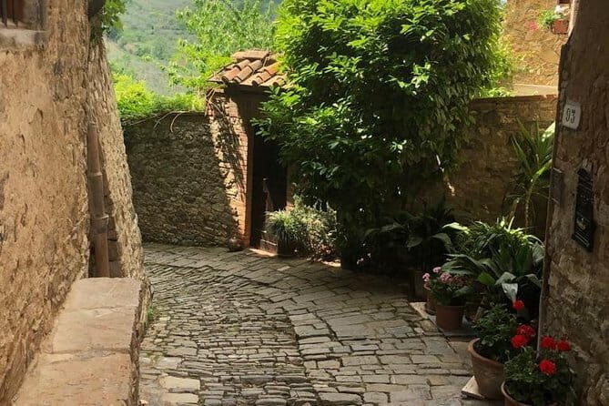 Private Chianti Wine Day Experience From Tuscany - An In-Depth Look at the Itinerary