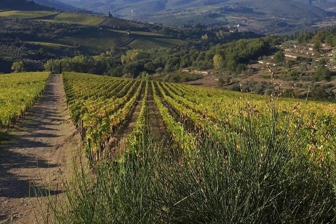 Private Chianti Wine Day Experience From Tuscany - Pricing and Overall Value