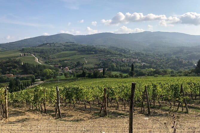 Private Chianti Wine Tasting from Florence, Half Day Experience - Key Points