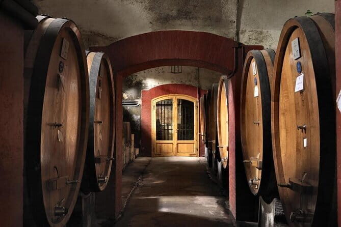 Private Chianti wine tour - An Authentic Taste of Tuscany: What to Expect