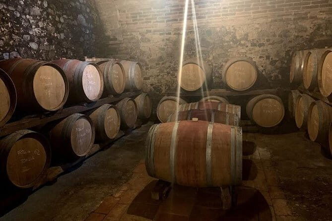 Private Chianti Wine Tour - A Deep Dive into the Itinerary